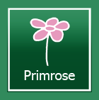 title='Primrose'